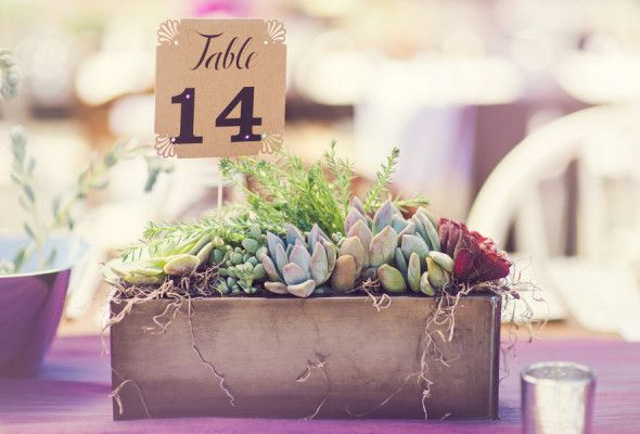 Outdoor Rustic Wedding Table Number