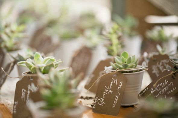 Plant Wedding Favors