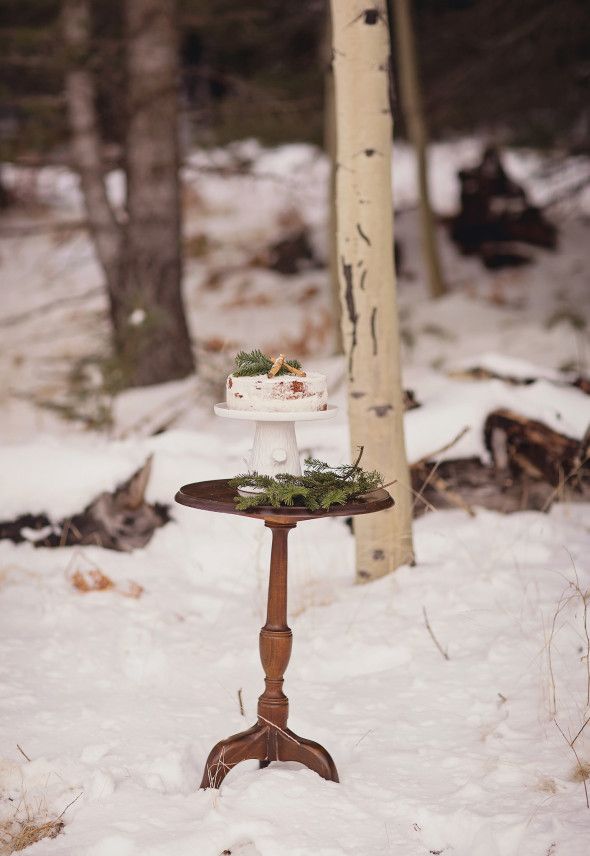 Winter Rustic Wedding Cake