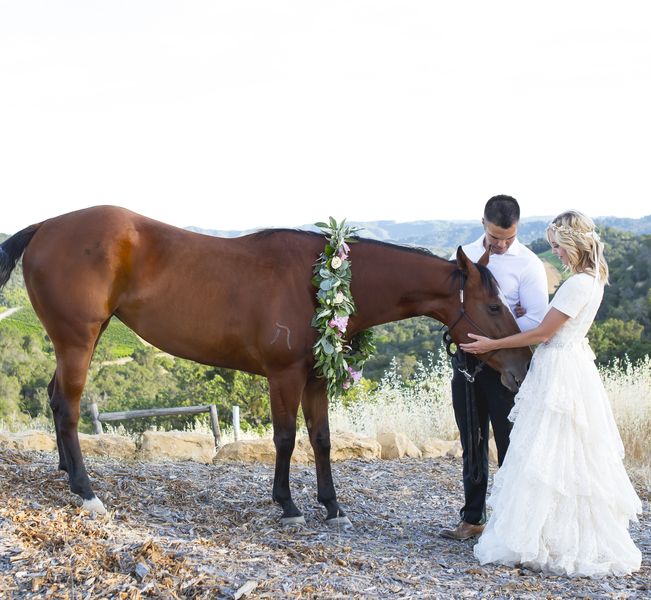 Wedding With Horse