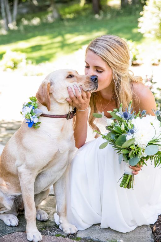 Bride And Dog