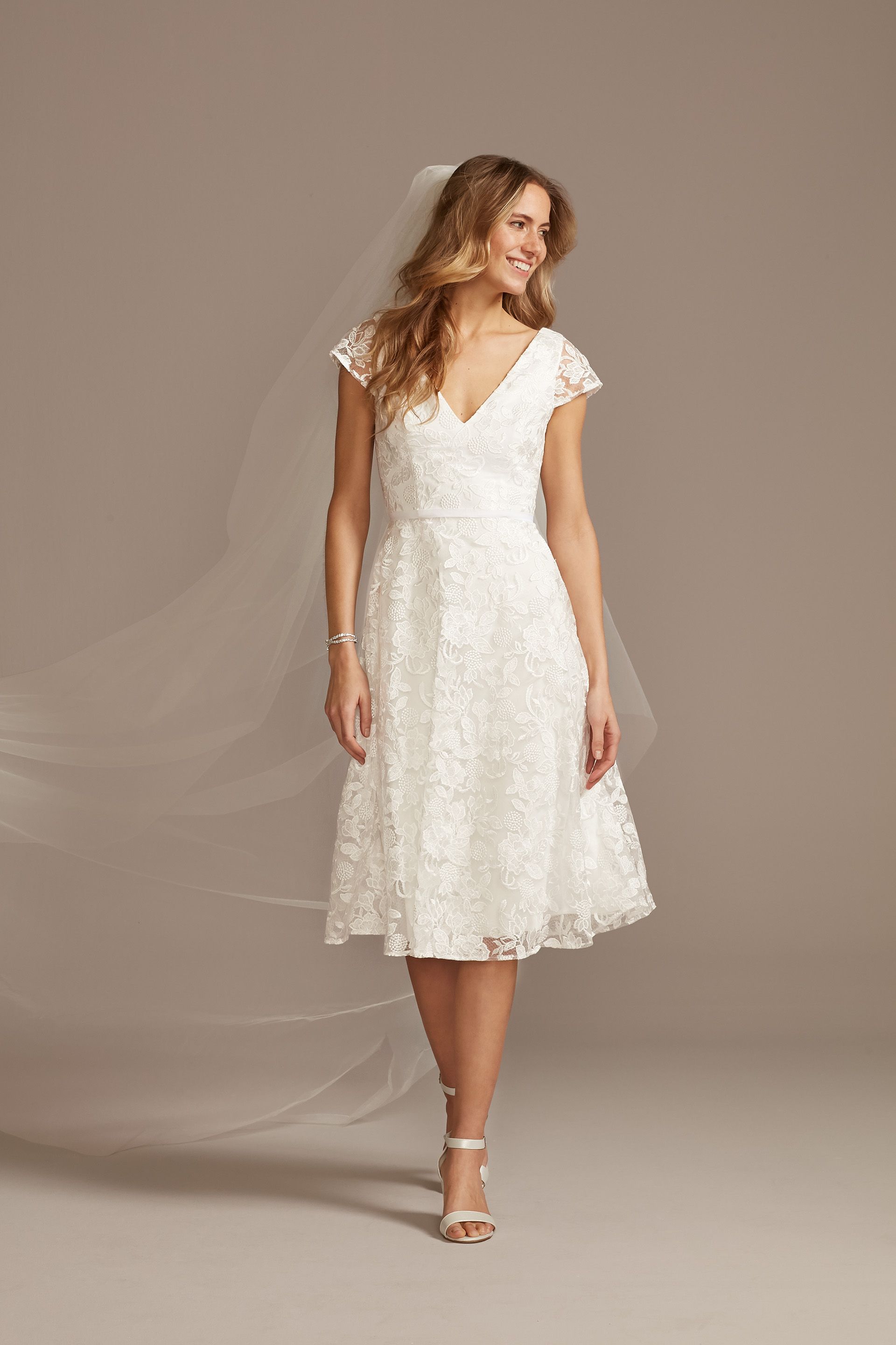 V-Neck Embroidered Lace Cap Sleeve A-Line Dress