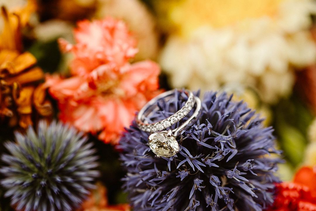 wedding ring on top of gorgeous bright colored flowers