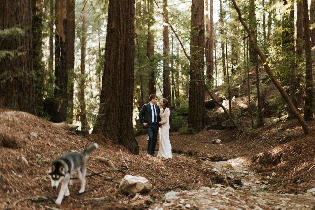 bride and groom kissing next to redwood trees