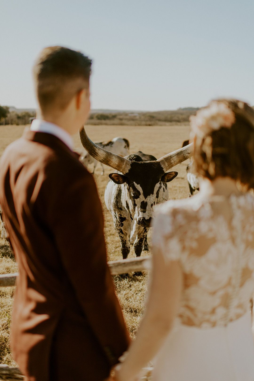 rustic farm wedding photos