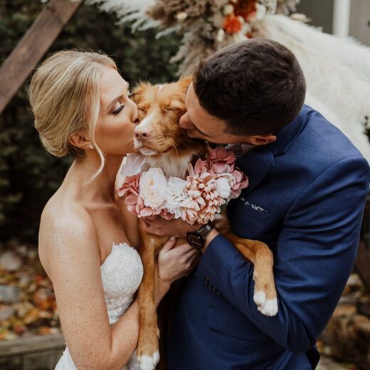 bride and groom kissing dog at wedding