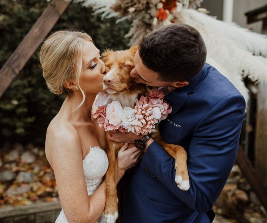 bride and groom kissing dog at wedding