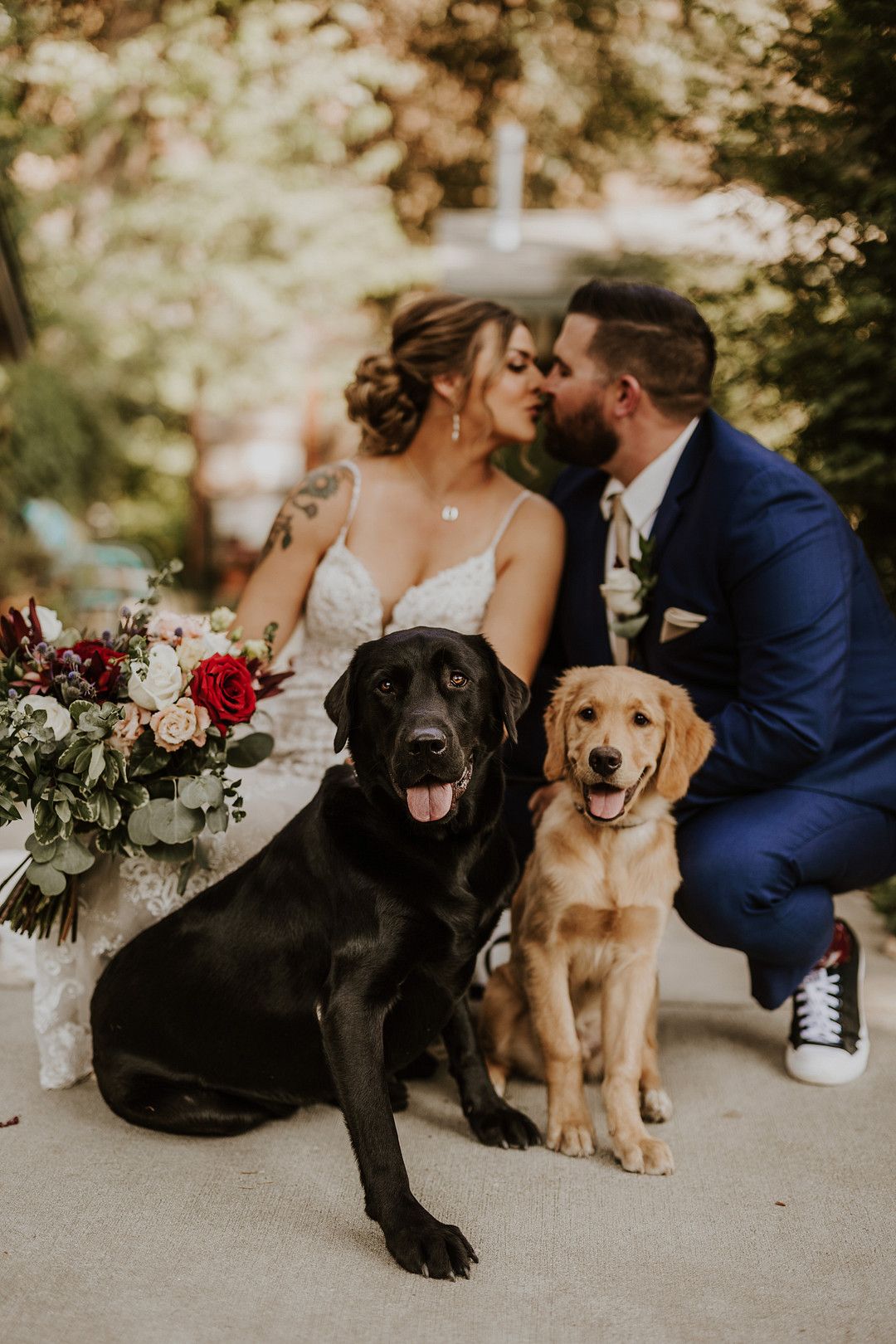 bride and groom with dogs on wedding day in the mountains of Oak Glen
