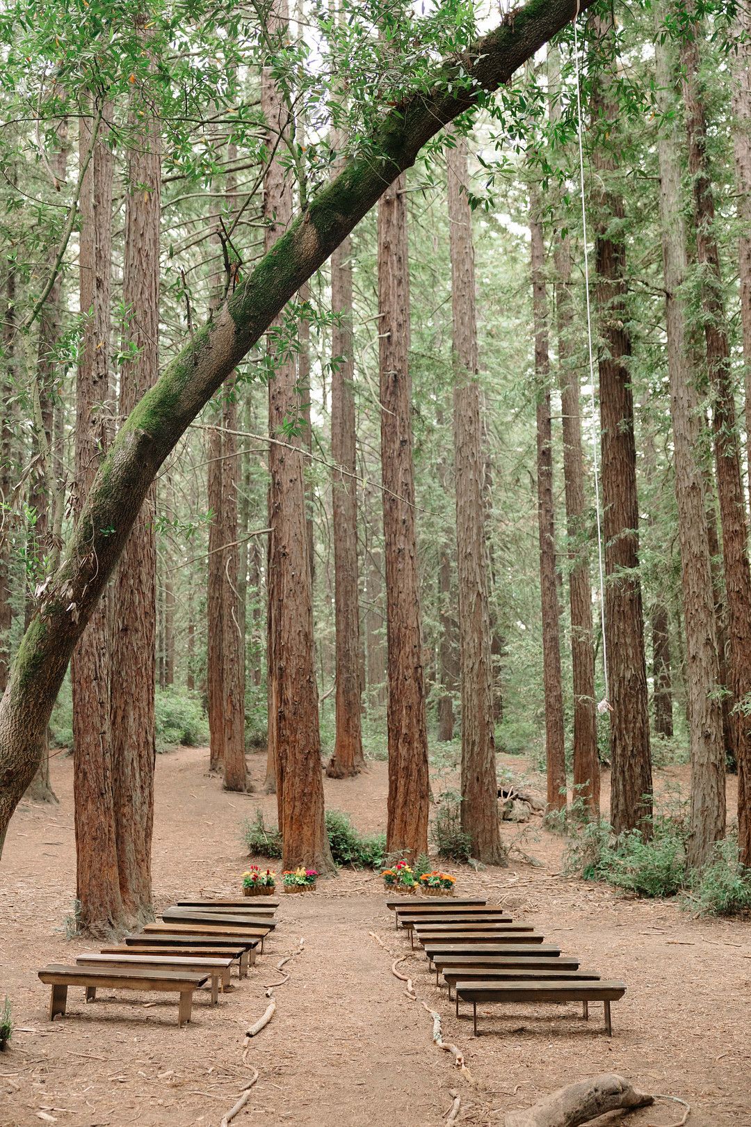 Moroccan forest wedding in california venue 