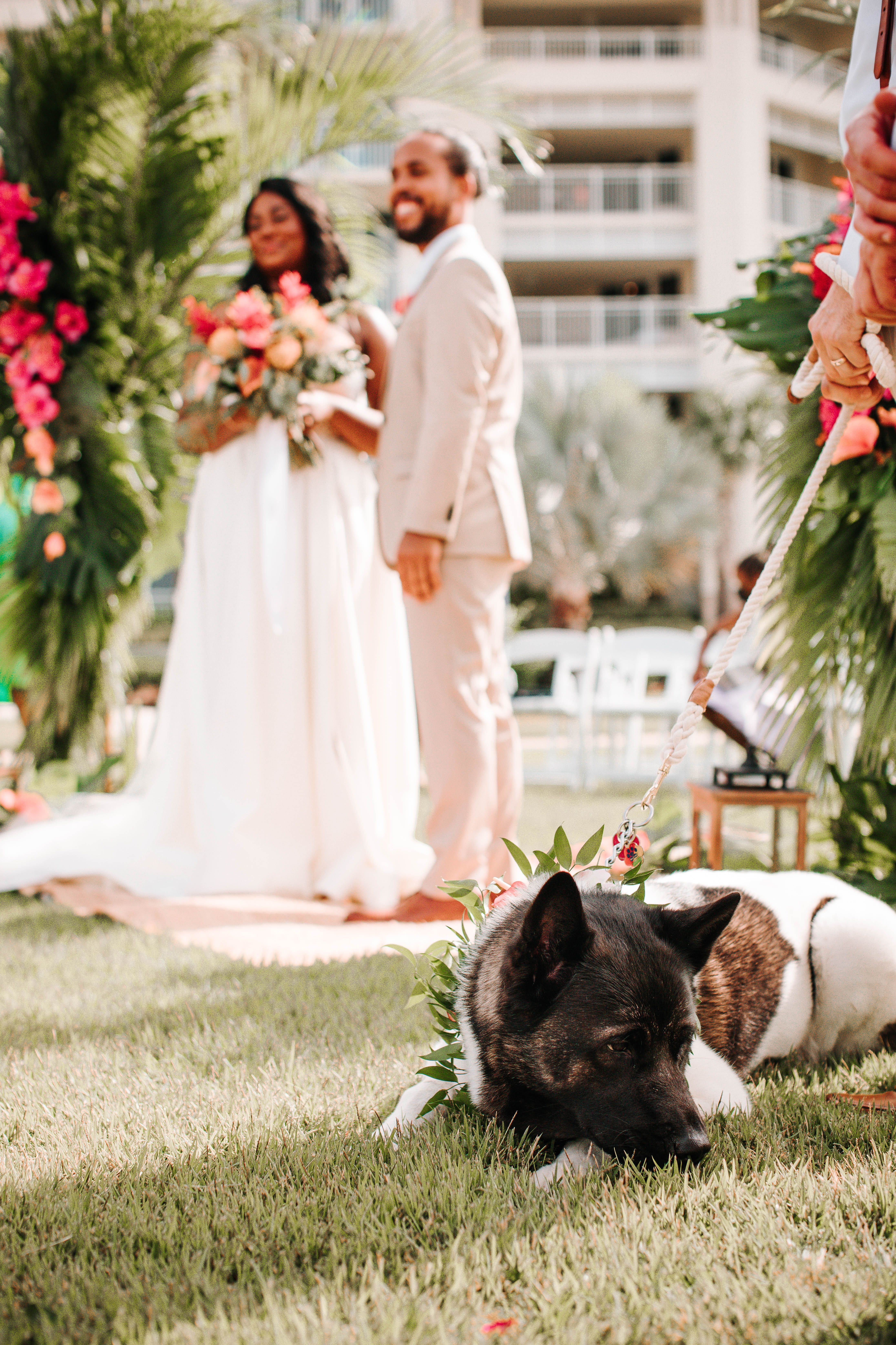 dog at summer wedding ceremony in orlando